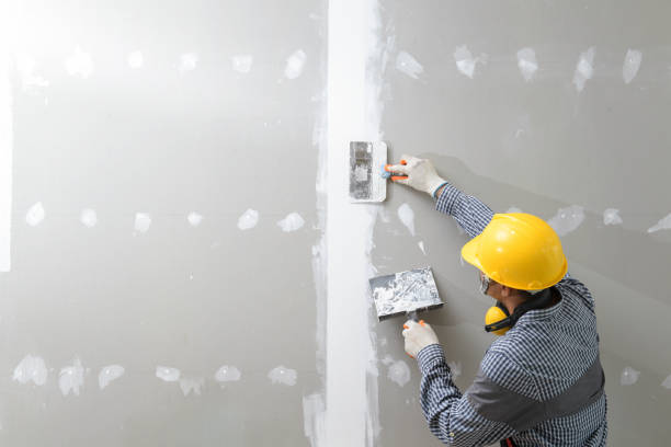 Somonauk, IL Drywall & Painting Services Company